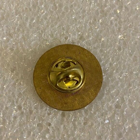 The Friendship Force A World of Friends Lapel Pin - Picture 2 of 2